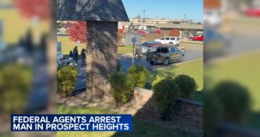 ICE Chicago news: Federal immigration agents detain man at Prospect Heights, Illinois apartment complex, video shows