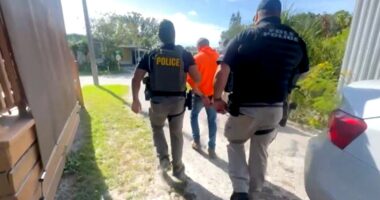 ICE and Florida arrest 230 criminal illegal aliens in 10-day operation