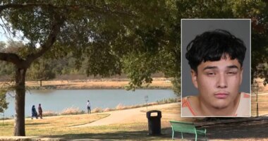 Illegal immigrant with rap sheet charged in hammer attack on woman jogging in park, released under Biden: DHS