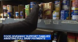 Illinois SNAP benefits: Greater Chicago Food Depository holds free food giveaways; Brandon Johnson signs executive order