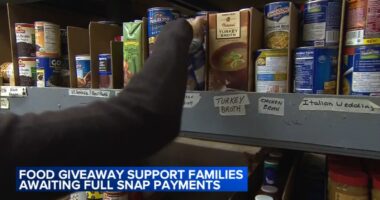 Illinois SNAP benefits: Greater Chicago Food Depository holds free food giveaways; Brandon Johnson signs executive order