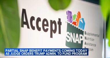 Illinois SNAP recipients receive partial benefits before funding order blocked by Supreme Court Justice Jackson