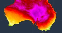 Impact of Tropical Cyclone Fina causing temperatures to nudge 50 degrees
