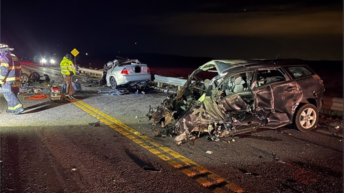 Infamous 'carjacker' caused horror crash that killed dad and 3 kids