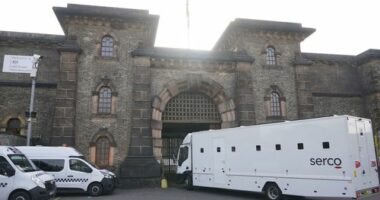 Inmate mistakenly released from London prison arrested