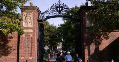 'Intentional' explosion at Harvard University medical building under investigation; no injuries reported