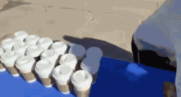 Iowa student flipped Turning Point USA table on campus in viral video that led to arrest: docs