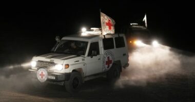 Red Cross vehicles carrying the bodies of three people believed to be deceased Israeli hostages handed over by Hamas