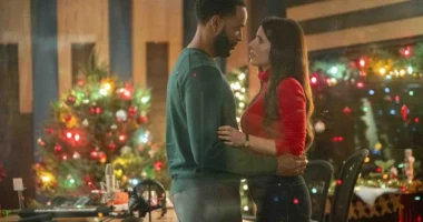 It's a Wonderful Lifetime Kicks Off November 29