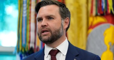 JD Vance dresses as meme of himself in Halloween post