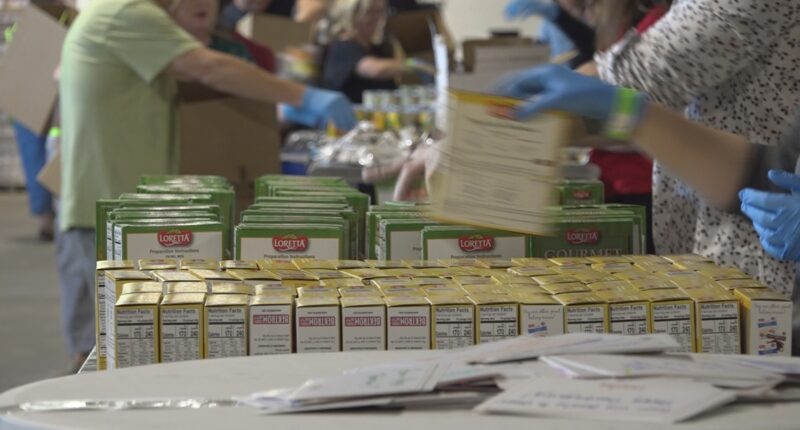 Jacksonville City Council members propose $2 million in emergency funding for food insecurity