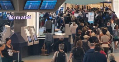 Jacksonville International Airport urging travelers to check flight status with airline amid FAA service cuts, travel experts share tips