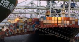 Jacksonville-based company tallies loss of 181 shipping containers as barge returns to Florida