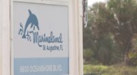 Judge reopens the bidding for sale of Marineland to include group of dolphin professionals