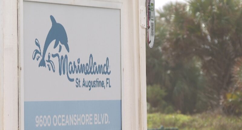 Judge reopens the bidding for sale of Marineland to include group of dolphin professionals