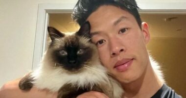 Jun Peng lost his beloved cat Reuben after being exposed to lilies, a plant highly toxic to cats.