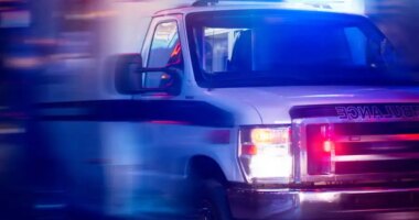 Juvenile parents arrested after Ohio newborn found buried