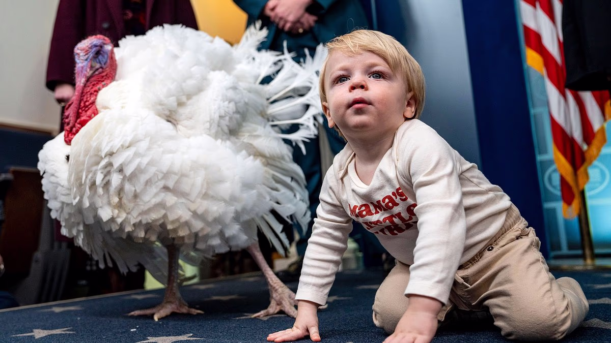 Karoline Leavitt praised widely for 'relatable Mom moment'