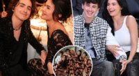 Kylie Jenner ‘very excited’ for Timothée Chalamet to spend Thanksgiving with her family after filming abroad: report