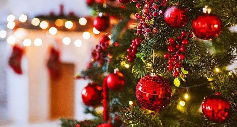 LIST: Celebrate the holidays in St. Pete with these festive events