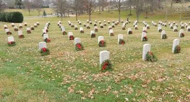 LIST: Veterans Day events in the Tri-Cities