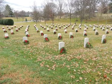 LIST: Veterans Day events in the Tri-Cities