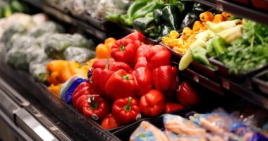 LeRoy approves temporary food assistance program