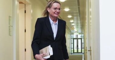Opposition leader Sussan Ley departs after a Liberal party room meeting, at Parliament House in Canberra on Wednesday 12 November 2025.