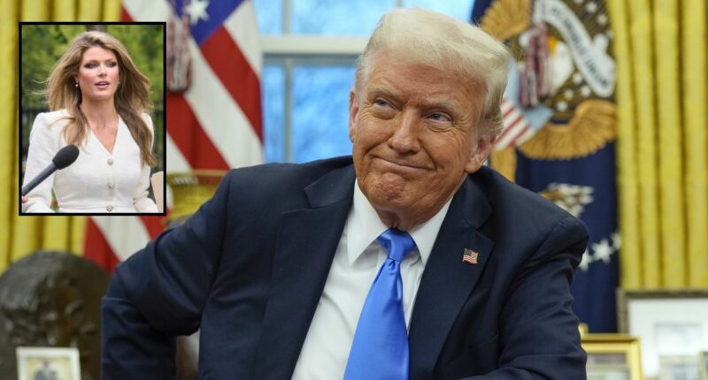 Lindsey Halligan's name is still listed on several cases