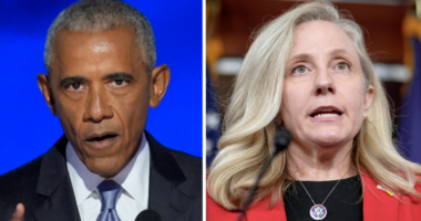 Live updates: SNAP benefits in peril as shutdown persists; Obama to stump for Dems in VA, NJ