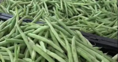 Local farmers face uncertainty, SNAP funding in limbo