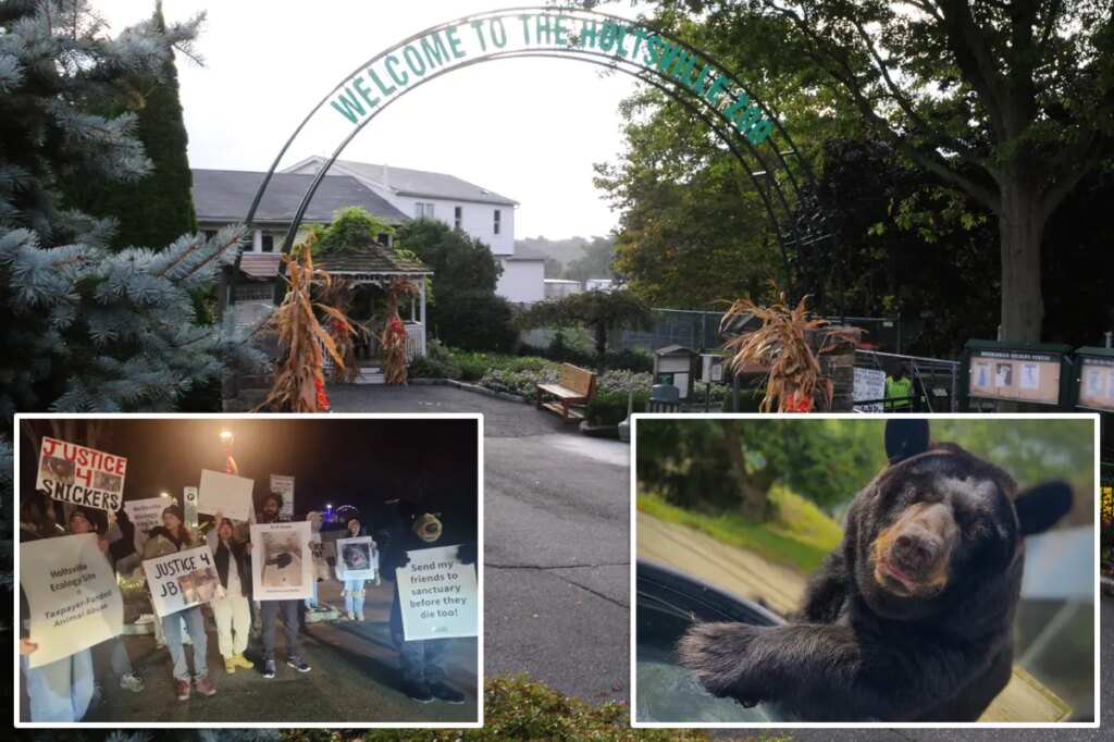 Long Island's largest, most controversial zoo set to close after budget nix: 'Very sad'