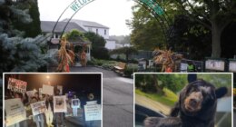 Long Island's largest, most controversial zoo set to close after budget nix: 'Very sad'