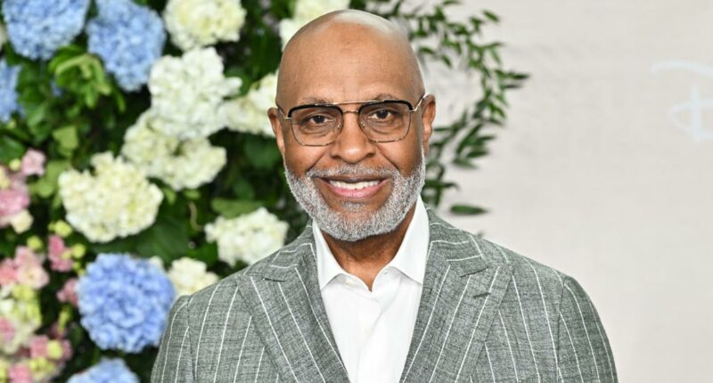 Longtime 'Grey's Anatomy' star diagnosed with prostate cancer