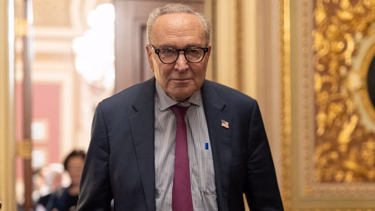 MAGA firebrand DEFENDS Chuck Schumer and offers wild Democrat theory