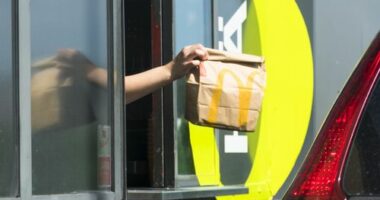 More than 20,000 McDonald's workers will have the opportunity to turn workplace skills into university credits under the national roll-out of a new program.