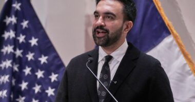 Magic Fairies and Pixie Dust: Listen to What Mamdani Says About Funding for 'Free' Buses in NYC