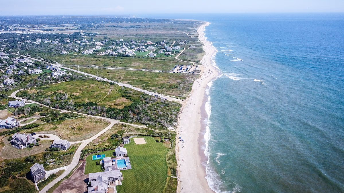 Major win for man who triggered property war after cutting down trees