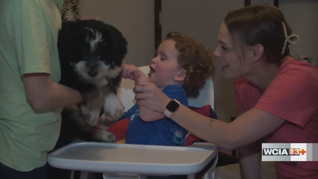 Make-A-Wish grants 4-legged wish to Rantoul boy