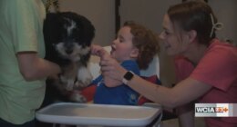 Make-A-Wish grants 4-legged wish to Rantoul boy