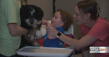 Make-A-Wish grants 4-legged wish to Rantoul boy