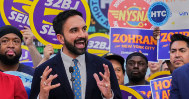 Mamdani’s win has progressives eyeing New York City House seats