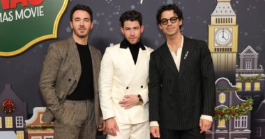 Man With Viral Resume at Jonas Brothers Concert Reveals He Got the Job