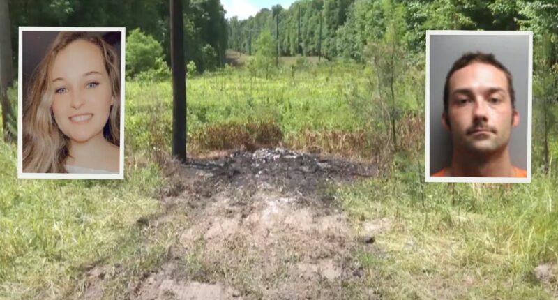 Man admits to murdering girlfriend, setting her body on fire