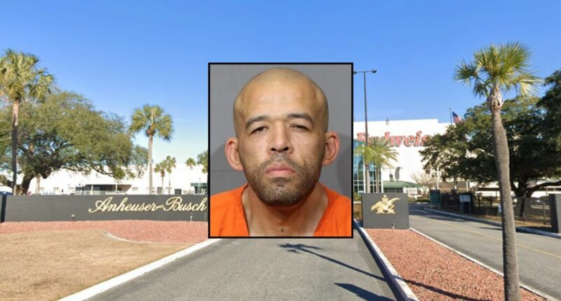 Man at brewery stabbed co-worker on first day: Cops