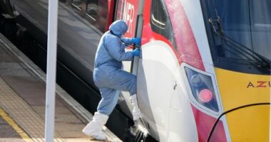 Man charged with attempted murder over train stabbing that wounded 11