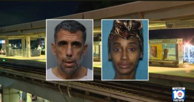 Man shoved woman off elevated train platform, cops say