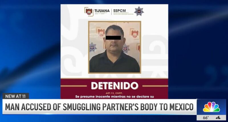 Man smuggled partner's body across the border: Authorities