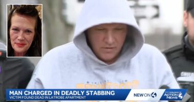 Man stabbed woman after he requested cigarettes: Police