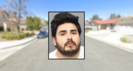 Man stabs woman in the head with a screwdriver, police say